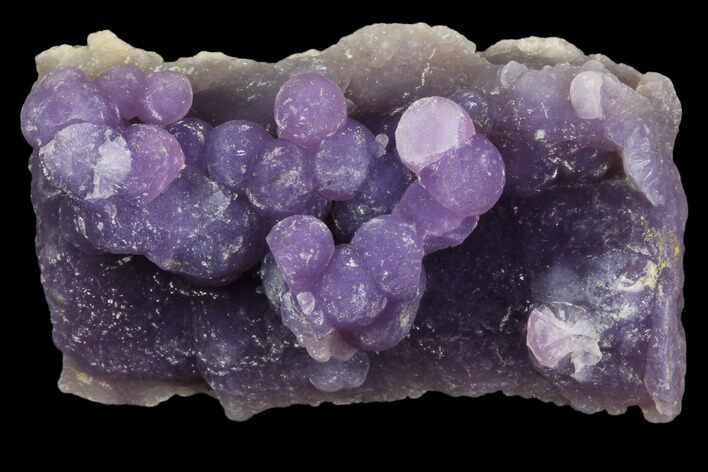Purple, Botryoidal Grape Agate - Indonesia #79196